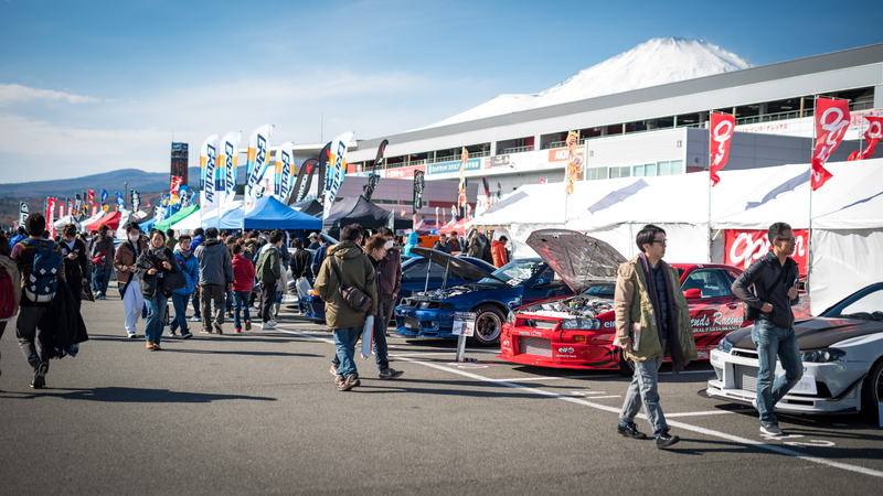 Paddock Area